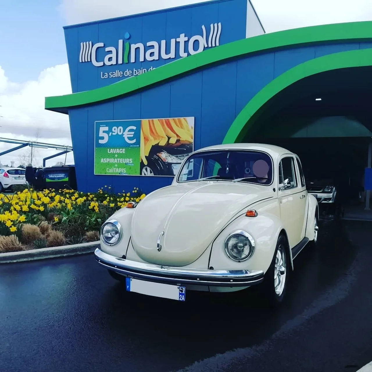 Calinauto